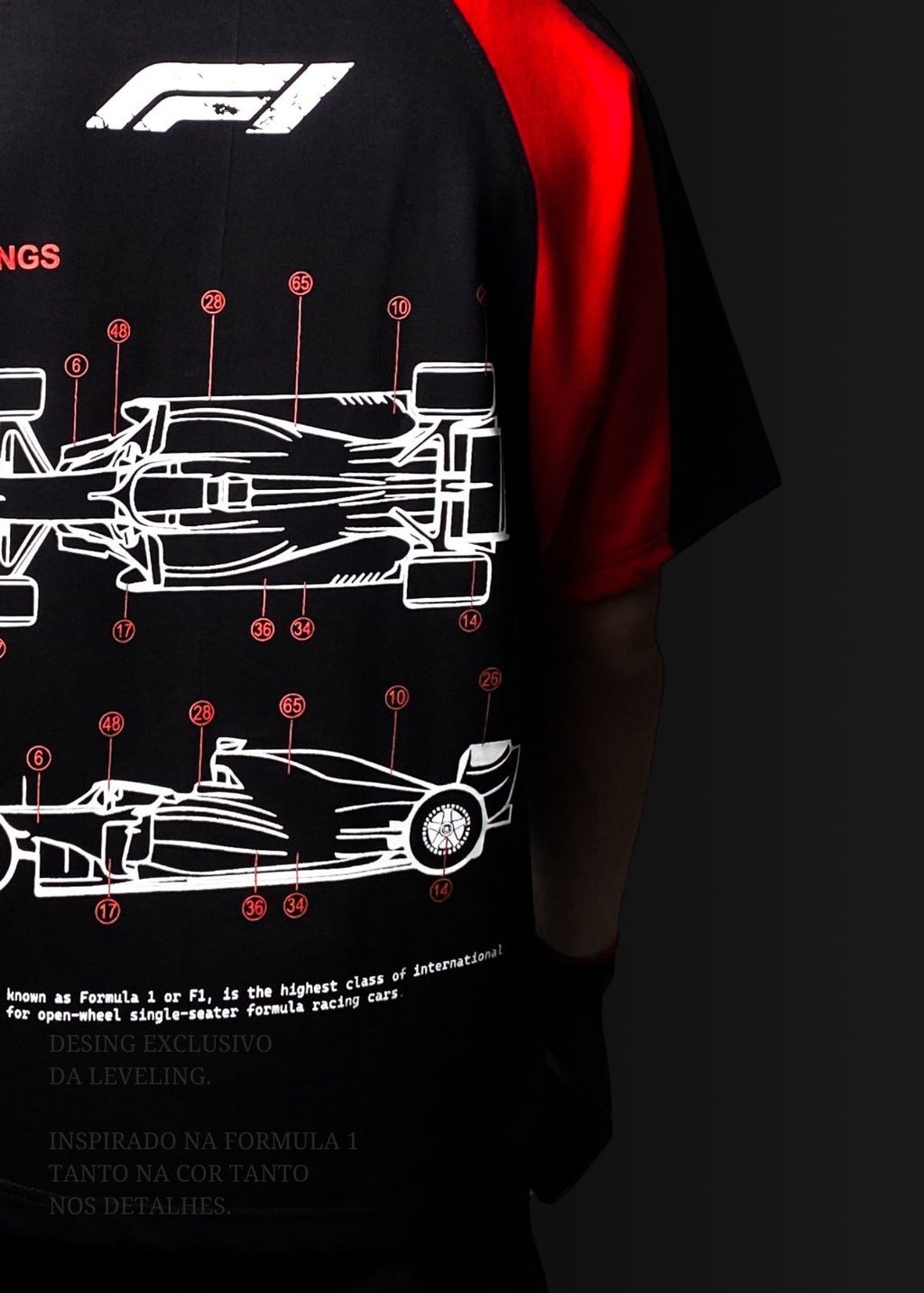 Formula 1 / Oversized - Edição Especial
