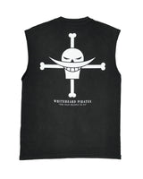 Barba Branca / Regata